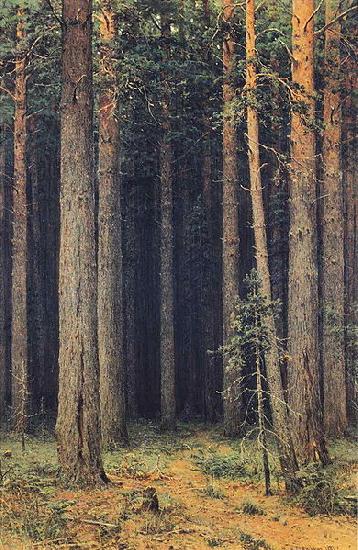 Ivan Shishkin Forest Reserve Spain oil painting art